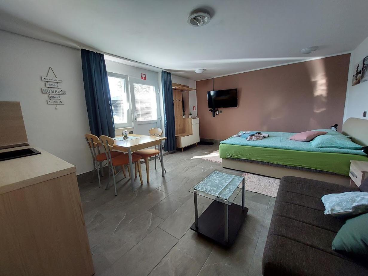 Studio Apartma Zirovnik Cerklje na Gorenjskem Exteriér fotografie
